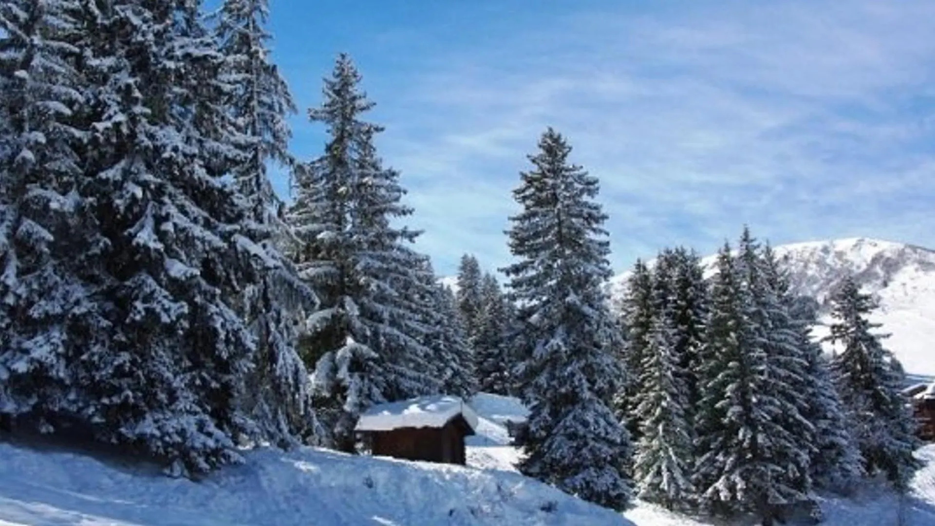 Appartement Lumineux 2 Pieces A Creve Coeur, Proche Pistes Et Commerces - Fr-1-356-271 Valmorel Apartment